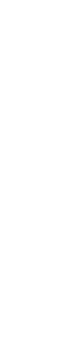 提灯がおどる、夏がはずむ。