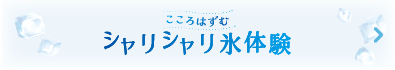 氷体験