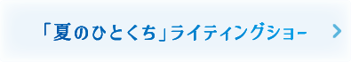 ライティングショー
