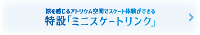 ミニスケートリンク